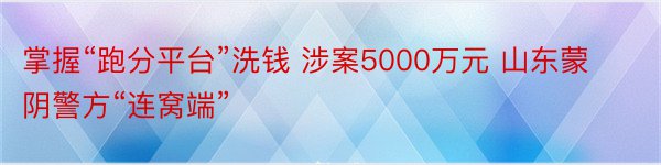 掌握“跑分平台”洗钱 涉案5000万元 山东蒙阴警方“连窝端”