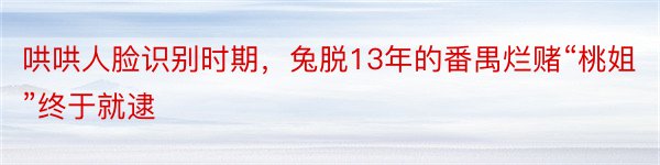 哄哄人脸识别时期，兔脱13年的番禺烂赌“桃姐”终于就逮