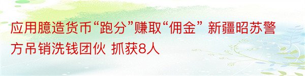 应用臆造货币“跑分”赚取“佣金” 新疆昭苏警方吊销洗钱团伙 抓获8人