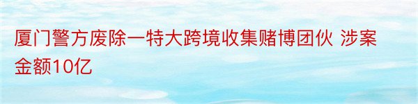 厦门警方废除一特大跨境收集赌博团伙 涉案金额10亿