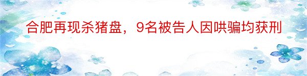 合肥再现杀猪盘，9名被告人因哄骗均获刑