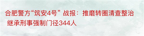 合肥警方“筑安4号” 战报：推磨转圈清查整治 继承刑事强制门径344人