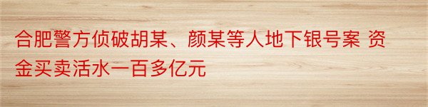 合肥警方侦破胡某、颜某等人地下银号案 资金买卖活水一百多亿元