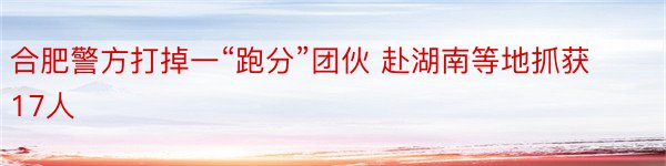 合肥警方打掉一“跑分”团伙 赴湖南等地抓获17人