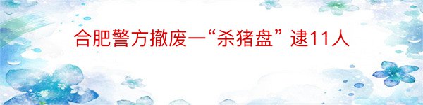 合肥警方撤废一“杀猪盘” 逮11人