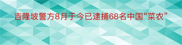 吉隆坡警方8月于今已逮捕68名中国“菜农”