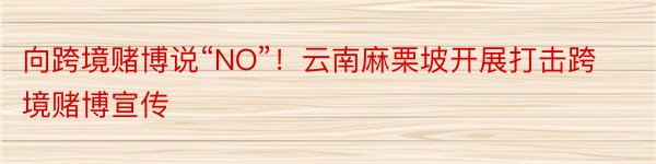 向跨境赌博说“NO”！云南麻栗坡开展打击跨境赌博宣传