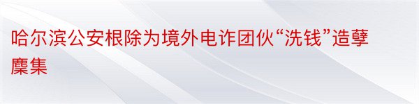 哈尔滨公安根除为境外电诈团伙“洗钱”造孽麇集