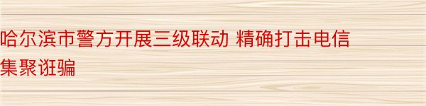 哈尔滨市警方开展三级联动 精确打击电信集聚诳骗