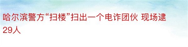 哈尔滨警方“扫楼”扫出一个电诈团伙 现场逮29人