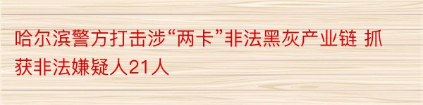 哈尔滨警方打击涉“两卡”非法黑灰产业链 抓获非法嫌疑人21人