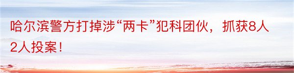 哈尔滨警方打掉涉“两卡”犯科团伙，抓获8人 2人投案！