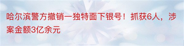 哈尔滨警方撤销一独特面下银号！抓获6人，涉案金额3亿余元