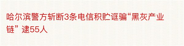 哈尔滨警方斩断3条电信积贮诓骗“黑灰产业链” 逮55人