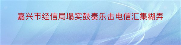 嘉兴市经信局塌实鼓奏乐击电信汇集糊弄