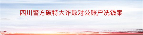 四川警方破特大诈欺对公账户洗钱案