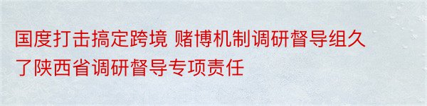 国度打击搞定跨境 赌博机制调研督导组久了陕西省调研督导专项责任