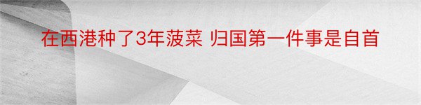 在西港种了3年菠菜 归国第一件事是自首