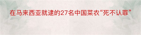 在马来西亚就逮的27名中国菜农“死不认罪”