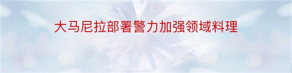 大马尼拉部署警力加强领域料理