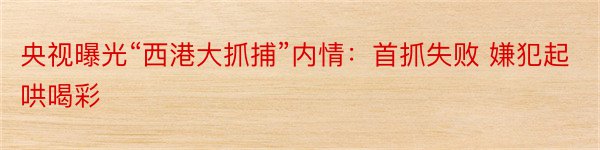 央视曝光“西港大抓捕”内情：首抓失败 嫌犯起哄喝彩