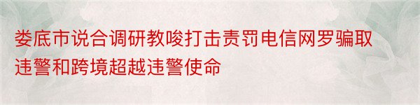 娄底市说合调研教唆打击责罚电信网罗骗取违警和跨境超越违警使命