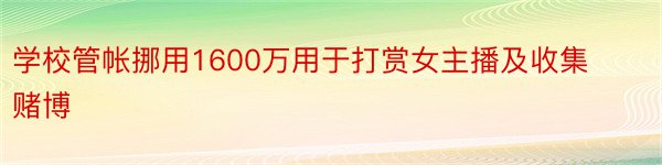 学校管帐挪用1600万用于打赏女主播及收集赌博