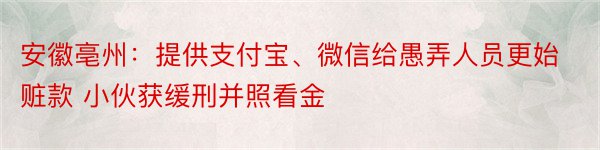 安徽亳州：提供支付宝、微信给愚弄人员更始赃款 小伙获缓刑并照看金