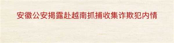 安徽公安揭露赴越南抓捕收集诈欺犯内情