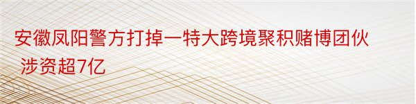 安徽凤阳警方打掉一特大跨境聚积赌博团伙 涉资超7亿