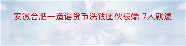 安徽合肥一造谣货币洗钱团伙被端 7人就逮