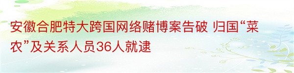 安徽合肥特大跨国网络赌博案告破 归国“菜农”及关系人员36人就逮