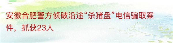 安徽合肥警方侦破沿途“杀猪盘”电信骗取案件，抓获23人