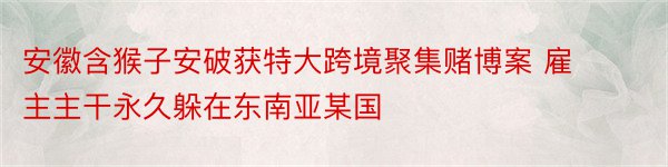 安徽含猴子安破获特大跨境聚集赌博案 雇主主干永久躲在东南亚某国