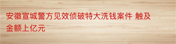 安徽宣城警方见效侦破特大洗钱案件 触及金额上亿元