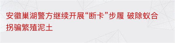 安徽巢湖警方继续开展“断卡”步履 破除蚁合拐骗繁殖泥土