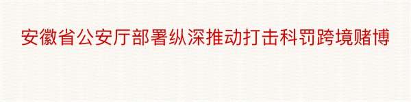 安徽省公安厅部署纵深推动打击科罚跨境赌博