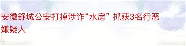 安徽舒城公安打掉涉诈“水房” 抓获3名行恶嫌疑人