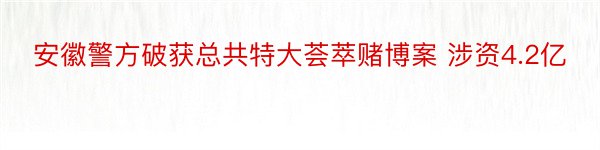 安徽警方破获总共特大荟萃赌博案 涉资4.2亿