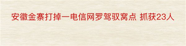 安徽金寨打掉一电信网罗驾驭窝点 抓获23人