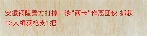 安徽铜陵警方打掉一涉“两卡”作恶团伙 抓获13人缉获枪支1把