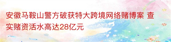 安徽马鞍山警方破获特大跨境网络赌博案 查实赌资活水高达28亿元