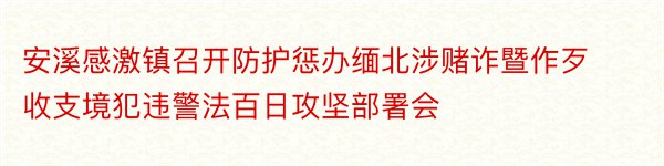 安溪感激镇召开防护惩办缅北涉赌诈暨作歹收支境犯违警法百日攻坚部署会