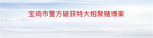 宝鸡市警方破获特大相聚赌博案