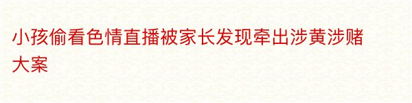 小孩偷看色情直播被家长发现牵出涉黄涉赌大案