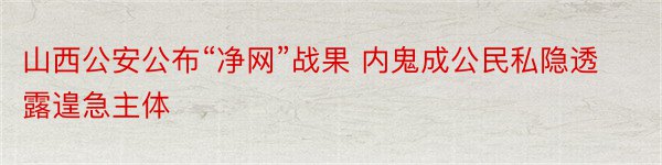 山西公安公布“净网”战果 内鬼成公民私隐透露遑急主体