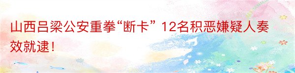 山西吕梁公安重拳“断卡” 12名积恶嫌疑人奏效就逮！