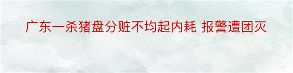 广东一杀猪盘分赃不均起内耗 报警遭团灭