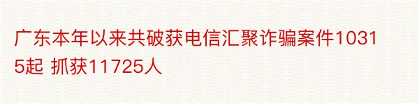 广东本年以来共破获电信汇聚诈骗案件10315起 抓获11725人