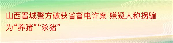 山西晋城警方破获省督电诈案 嫌疑人称拐骗为“养猪”“杀猪”